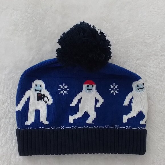 Hannah Andersson Are You Yeti Beanie Knit Hat Youth size 12 Blue - Picture 2 of 6